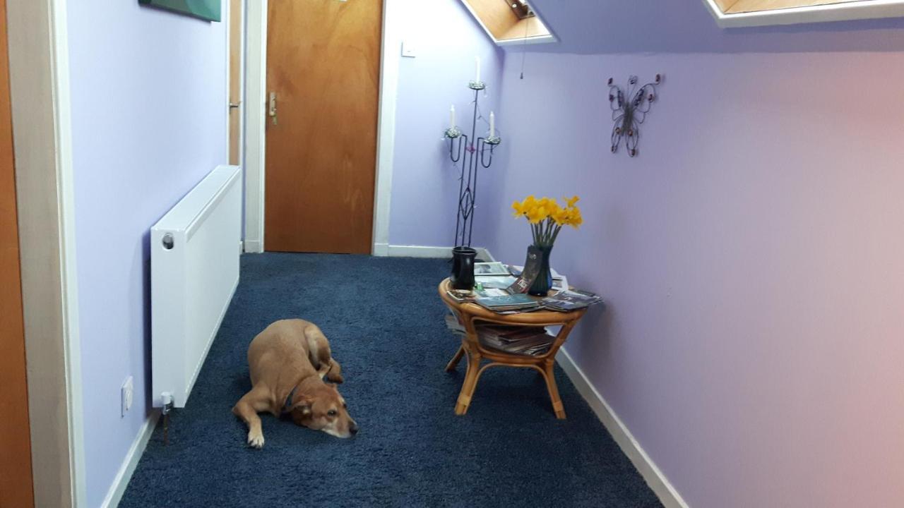 The Stables,Kirkmichael Bed and Breakfast Blairgowrie and Rattray Exteriör bild